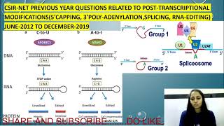 CSIR NET2021 PYQs RELATED TO POSTTRANSCRIPTIONAL MODIFICATION5CAPPING 3POLYADENYLATIONSPLICING [upl. by Sadnak]