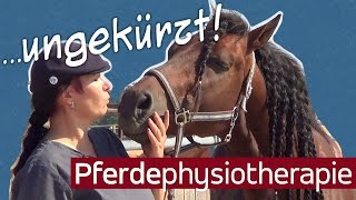 Wie funktioniert eine physiotherapeutische Behandlung am Pferd [upl. by Hashim]