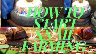 How to setup your pet snail farm practically for beginners complete guide [upl. by Amasa511]