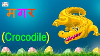 तीन वर्णों के शब्द  Learn Hindi Three Letter Words For Beginners  Learning Grammar [upl. by Naashar764]