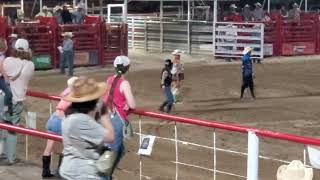 bandera rodeo july 5 2024 bull riding [upl. by Harty]