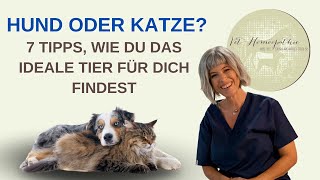 🐕🐈 Hund oder Katze Das passt besser zu Dir 7 Tipps  Ganzheitliche Tiergesundheit [upl. by Coriss]