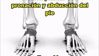 Flexión Plantar Con Pronación Y Abducción Del Pie Eversiòn [upl. by Boru]