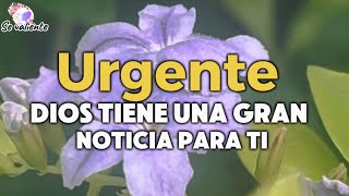 Urgente 🚨Dios tiene una gran noticia para ti 🙏🏻Abre este mensaje [upl. by Ekihc]