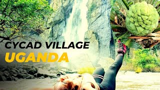 A MUST VISIT VILLAGE IN AFRICA CYCAD VILLAGE OF UGANDA Mbangafalls vlog [upl. by Kaiulani52]