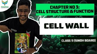 Cell wall Chapter 3 Class 10 Biology shaheencoachingcenter sindhboard [upl. by Mei]