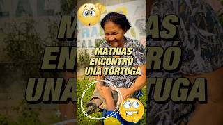 Mathias encuentra una tortuga [upl. by Yancey]