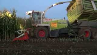 Claas jaguar 900 Field CSL Shuttle in the night [upl. by Say]