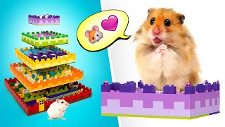 LIVE How To Make Coolest Hamster Maze  FUN DIY🐹🐀 [upl. by Sukramal]