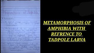 Retrogressive Metamorphosis In Urochordate BSc 2nd yearMetamorphosis In Herdmaniachordates [upl. by Daffodil]