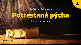 Božena Němcová Potrestaná pýcha 12 [upl. by Eecrad374]