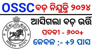 OSSC CHSL Recruitment 2024  OSSC Ayush Assistant Recruitment  OSSC Amin Vacancy in Odisha [upl. by Wendeline]