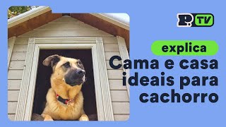 Como escolher a melhor cama ou casa de cachorro [upl. by Ahcsatan515]