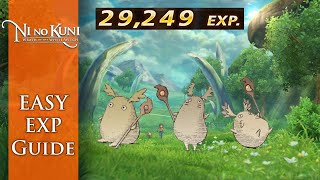 Ni No Kuni Wrath of the White Witch  The Easiest and Fastest EXP in the Game [upl. by Ensoll]