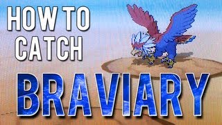 How to Catch  Braviary  Pokemon White 2 [upl. by Gladine651]