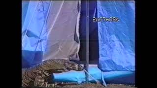 A Goanna in the Tent [upl. by Schoof]