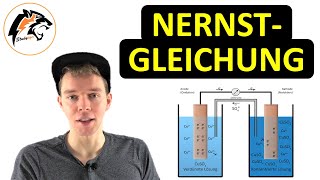 Die NernstGleichung  Chemie Tutorial [upl. by Aehtla]