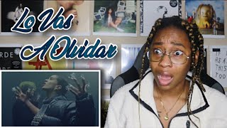 BILLIE EILISH ROSALÍA LO VAS A OLVIDAR MV REACTION 🤯  Favour [upl. by Friedrich]