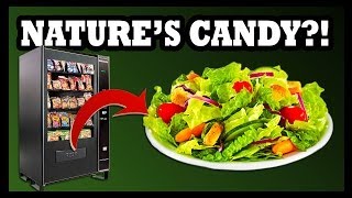 Salad Vending Machine  Food Feeder [upl. by Hogue865]