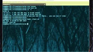 How to run a sh file in Linux [upl. by Nettie]