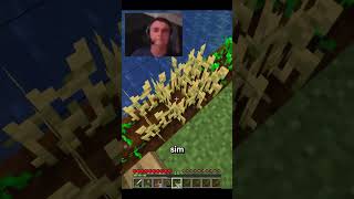 A Ilha Maluca EP 14  E a caverna  minecraftengraçado minecraftmemes [upl. by Gabor]