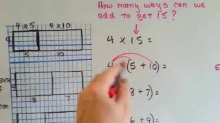 Division and the Distributive Property Grade 4 [upl. by Anetta459]