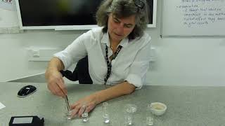 Catalase vs hydrogen peroxide experiment [upl. by Rufe]