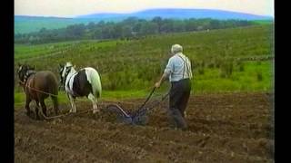 Ploughing with Horses Farming the old way in Ireland [upl. by Lais514]