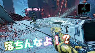 119 Borderlands3 Takedown at the Guardian Breach  テイクダウン：反逆のガーディアンを倒せ！25 [upl. by Hillie]