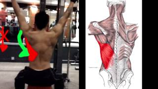 How To Properly Do Lat Pulldowns [upl. by Yanetruoc]