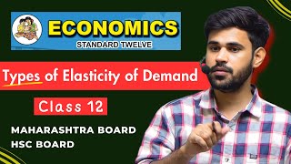 Types of Elasticity Demand  Economics Class 12 2024 [upl. by Anyek]