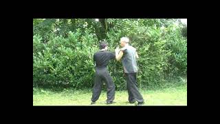 Kung Fu Application 1  Knee Lock [upl. by Chew]