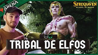 MTG Arena  ELFOS EN STANDARD Golgari Elfos Top Deck Standard STX [upl. by Lomaj]