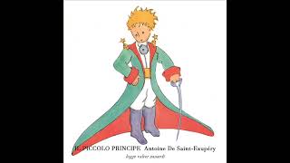 Il Piccolo Principe  Antoine de SaintExupéry  Audiolibro [upl. by Batty]