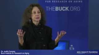 Senescent Cells Cancer and Aging  Dr Judith Campisi [upl. by Wiersma]