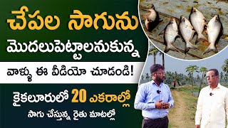 Fish Farming In Telugu  How To Start Fish Farming  Kaikaluru Fish Farming  Chepala Cheruvu [upl. by Nahum]