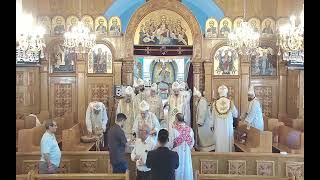 Brooklyn amp Staten Island priests Holy Liturgy 91724 [upl. by Rie511]