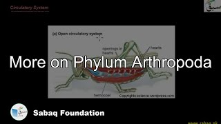 More on Phylum Arthropoda Biology Lecture  Sabaqpk [upl. by Skillern142]