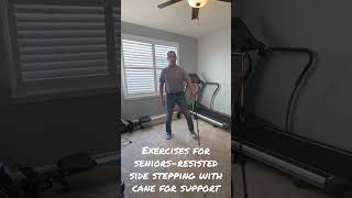 Exercises for SeniorsResisted Side Stepping using Cane for Support [upl. by Aeriell451]