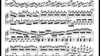 Beethoven  Waldstein Sonata 1st mvmt [upl. by Akehsat]