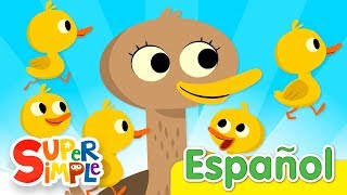 Cinco Patitos  Canciones Infantiles  Super Simple Español [upl. by Aicekat]