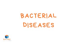 GCSE Biology  Infection amp Response  6 Bacterial Diseases [upl. by Daffy379]