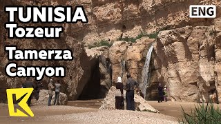 【K】Tunisia TravelTozeur튀니지 여행토주르사막 사파리 슈비카 협곡과 타메르자 협곡 오아시스Tamerza CanyonDesert SafariOasis [upl. by Natsud225]