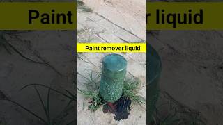 Paint remover liquid shortvideo shorts short [upl. by Still229]