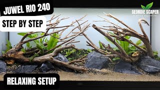 JUWEL RIO 240 PLANTED AQUARIUM SETUP  RELAXING STEP BY STEP VIDEO [upl. by Seaman]