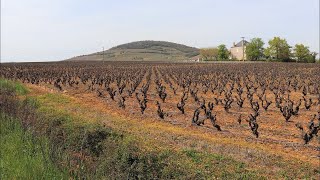 Saint Lager  Le Mont Brouilly  Rhône [upl. by Nodearb]