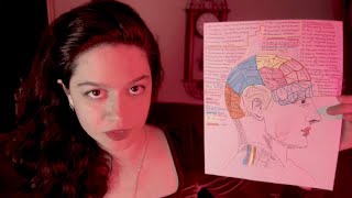 ASMR British Full Phrenology Exam Skull Measuring [upl. by Vary]