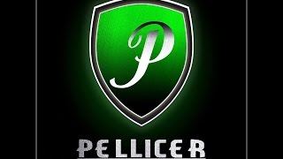 PELLICER MARCHING BAND 2015 [upl. by Ardnuahc]