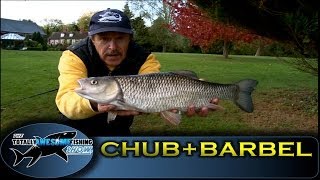 Barbel amp Chub fishing on River Kennet  Series 2  Episode 6 [upl. by Atiuqam]