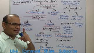 Carbohydrates  Identification Test [upl. by Eceinahs845]